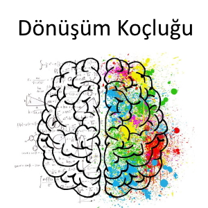 Dönüşüm Koçluğu